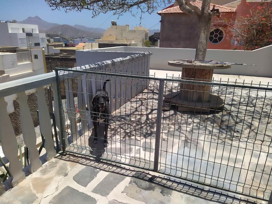 Villa Vivenda Com Patio, No Coracao Do Mindelo Exterior foto